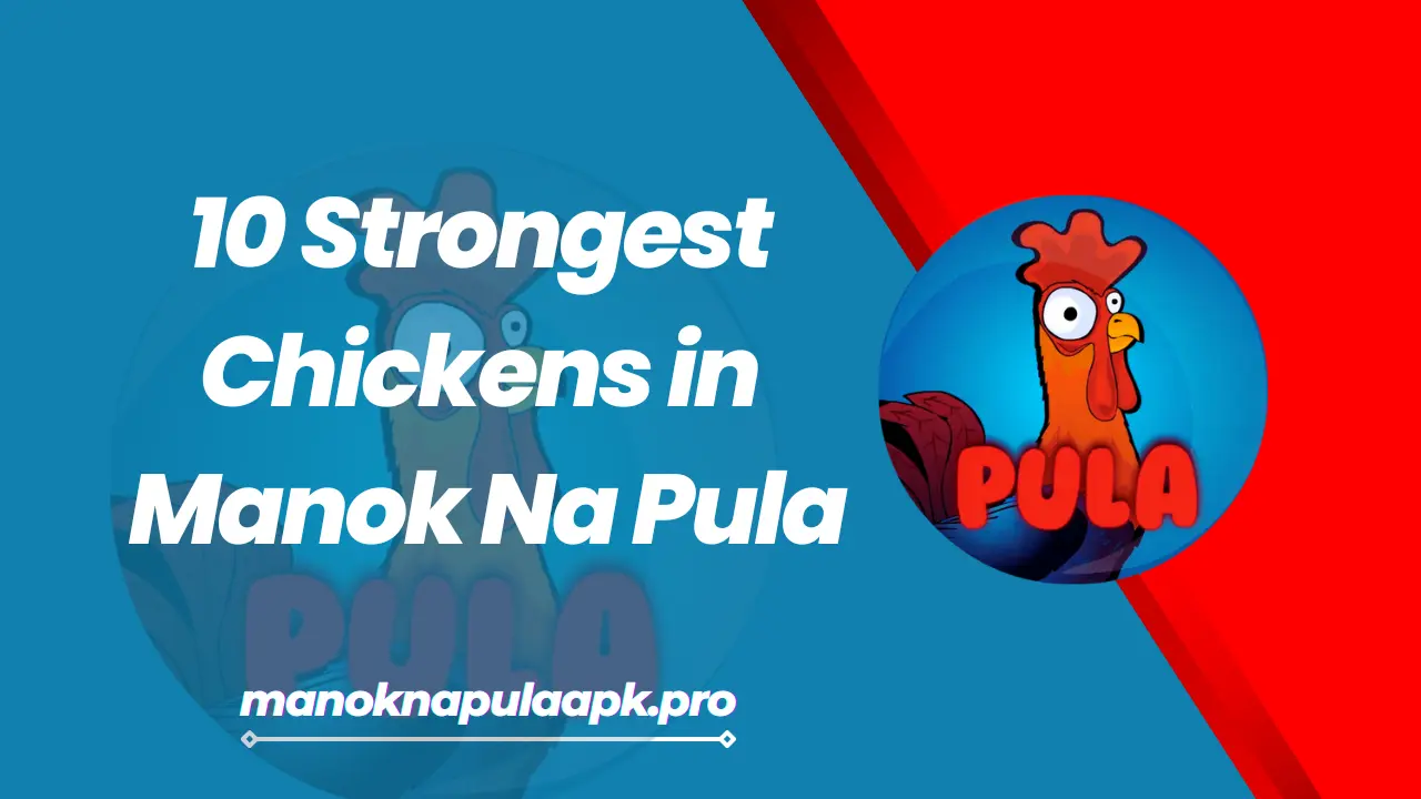 10 Strongest Chickens in Manok Na Pula